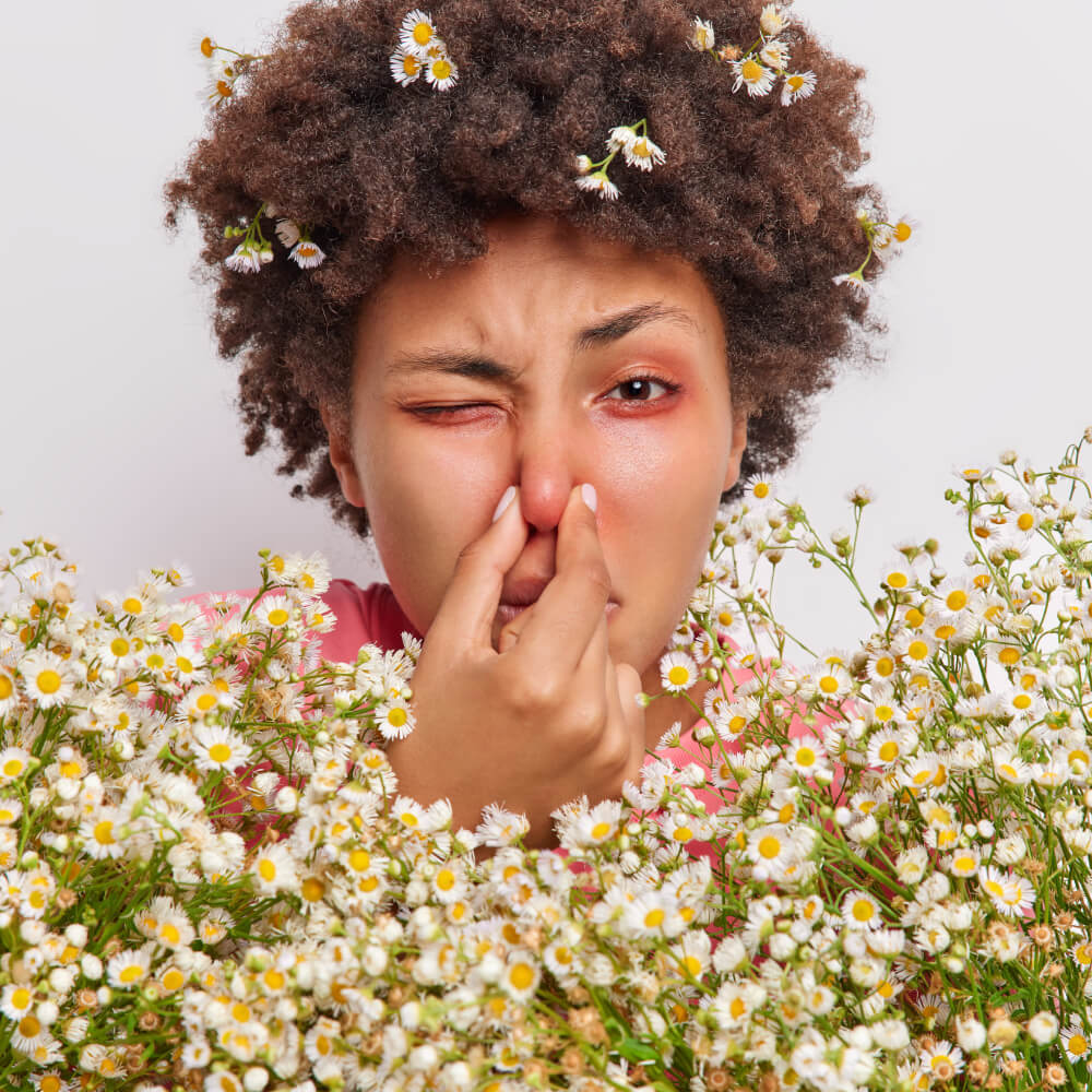 IQAir Luftreiniger gegen Allergene, Pollen und Schimmelpilzsporen – ENERSOR Düsseldorf